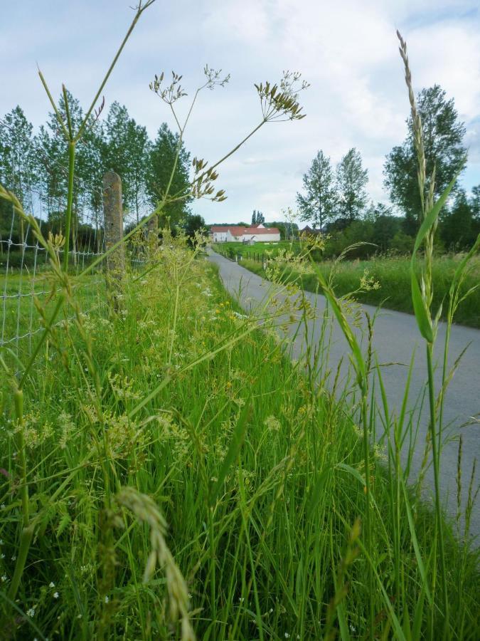 Het Verblijf Sint-Martens-Lennik Exterior photo